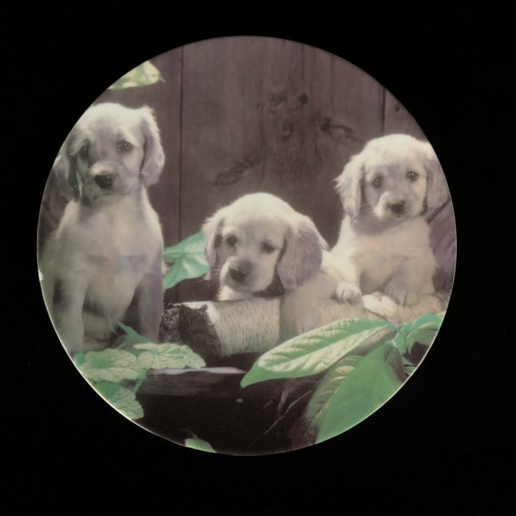 Серия декоративных тарелок Crestley Collection Puppy Love
