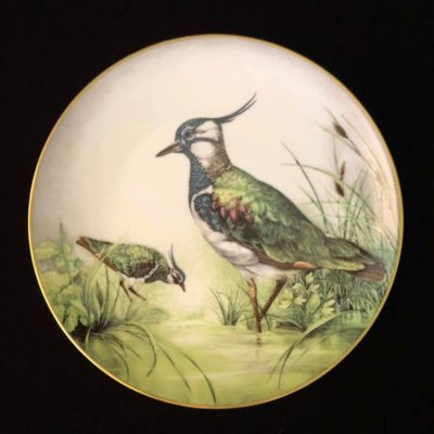 Фарфоровая тарелка "Eurasian Jay" Limoges